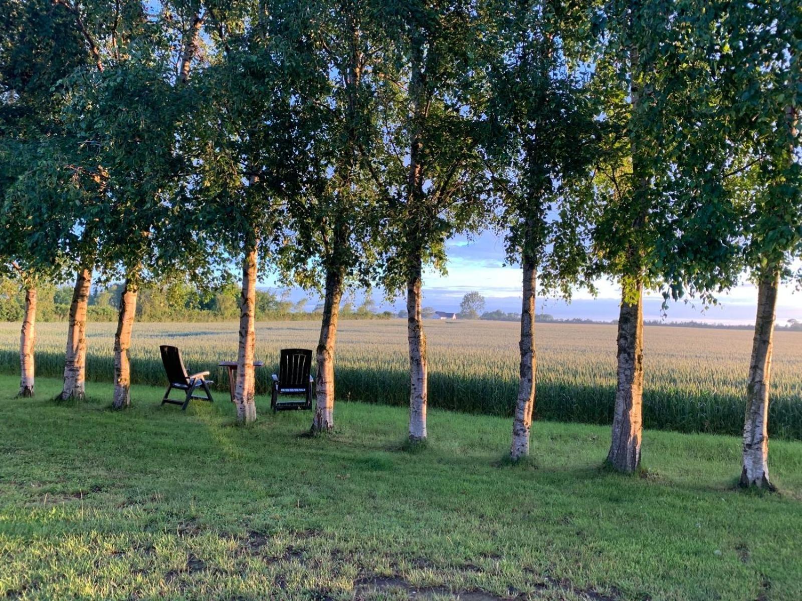 Stunning Romantic Cabin Close To Baltic See Idestrup Exterior foto